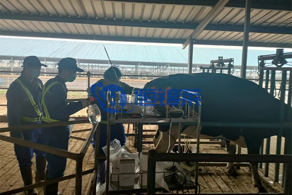 BXL veterinary ultrasoud instrument Hengjinlai case(图5)
