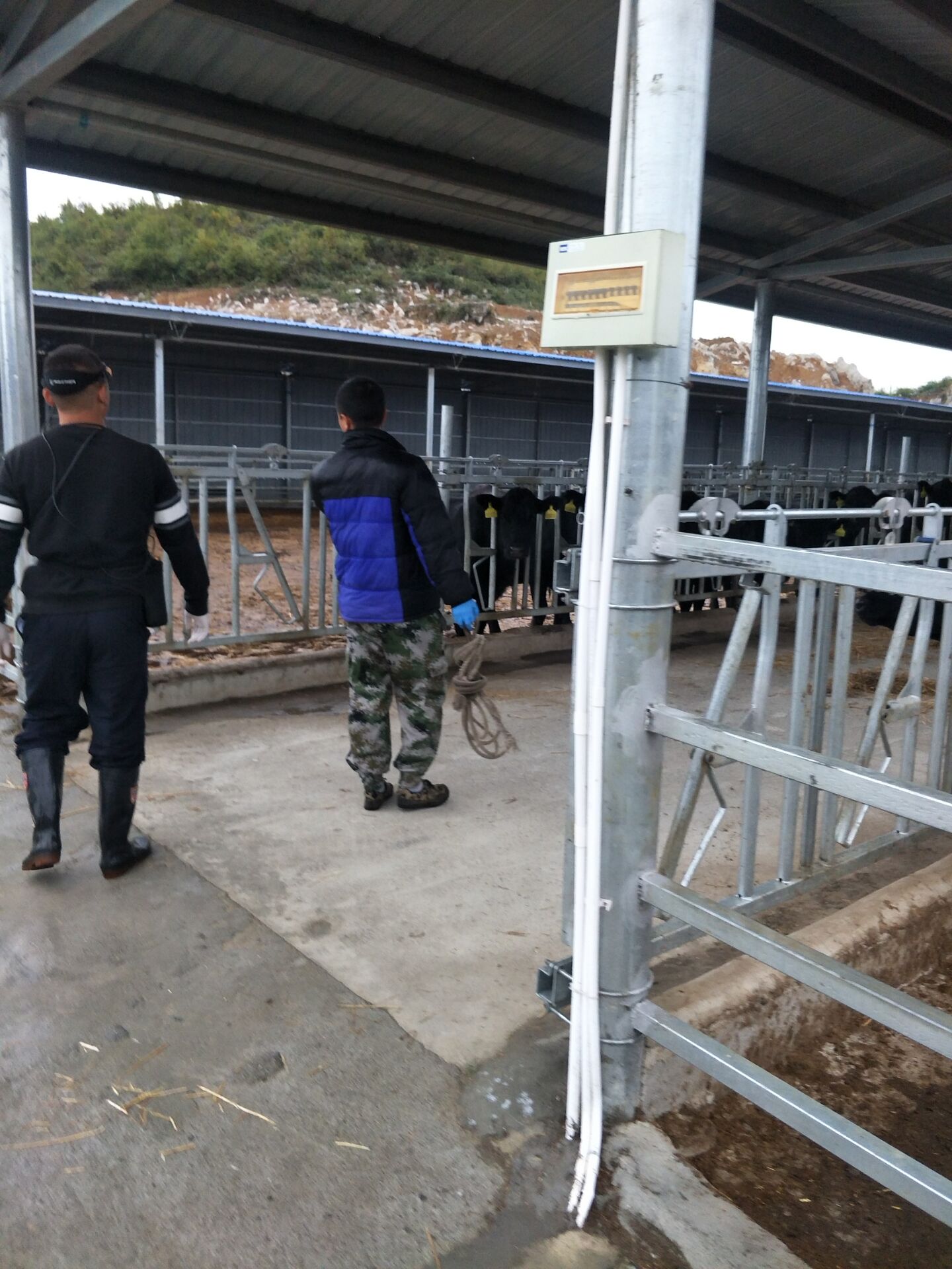 BXL veterinary ultrasonic instrument manufacturer Evergrande Dafang County training(图5)