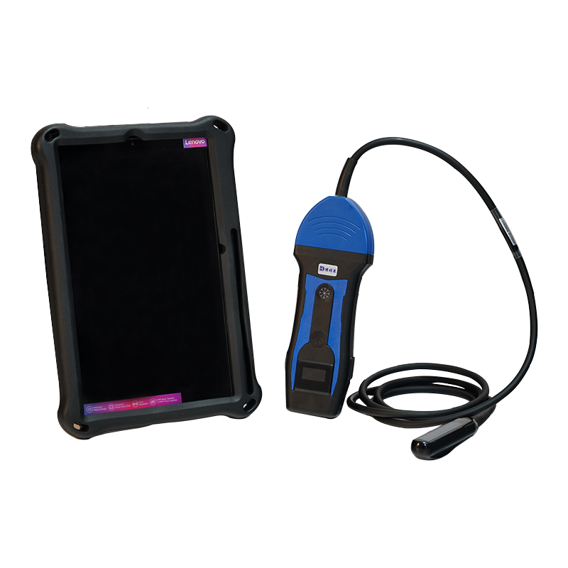 Camel ultrasound inspection solution(图1)