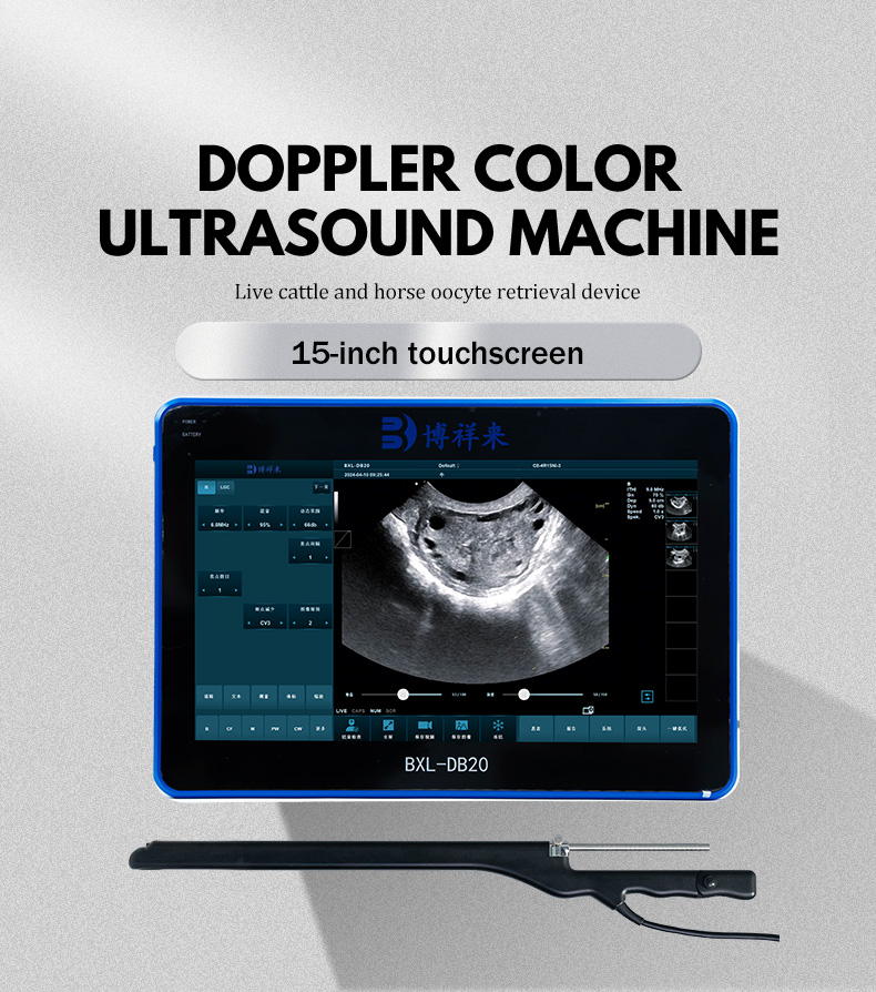 What Is the Ultrasonography of Cattle? A Comprehensive Guide to Ultrasound in Livestock Management(图1)