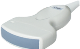 BXL Horse Ultrasound Cost: What You Need to Know(图2)