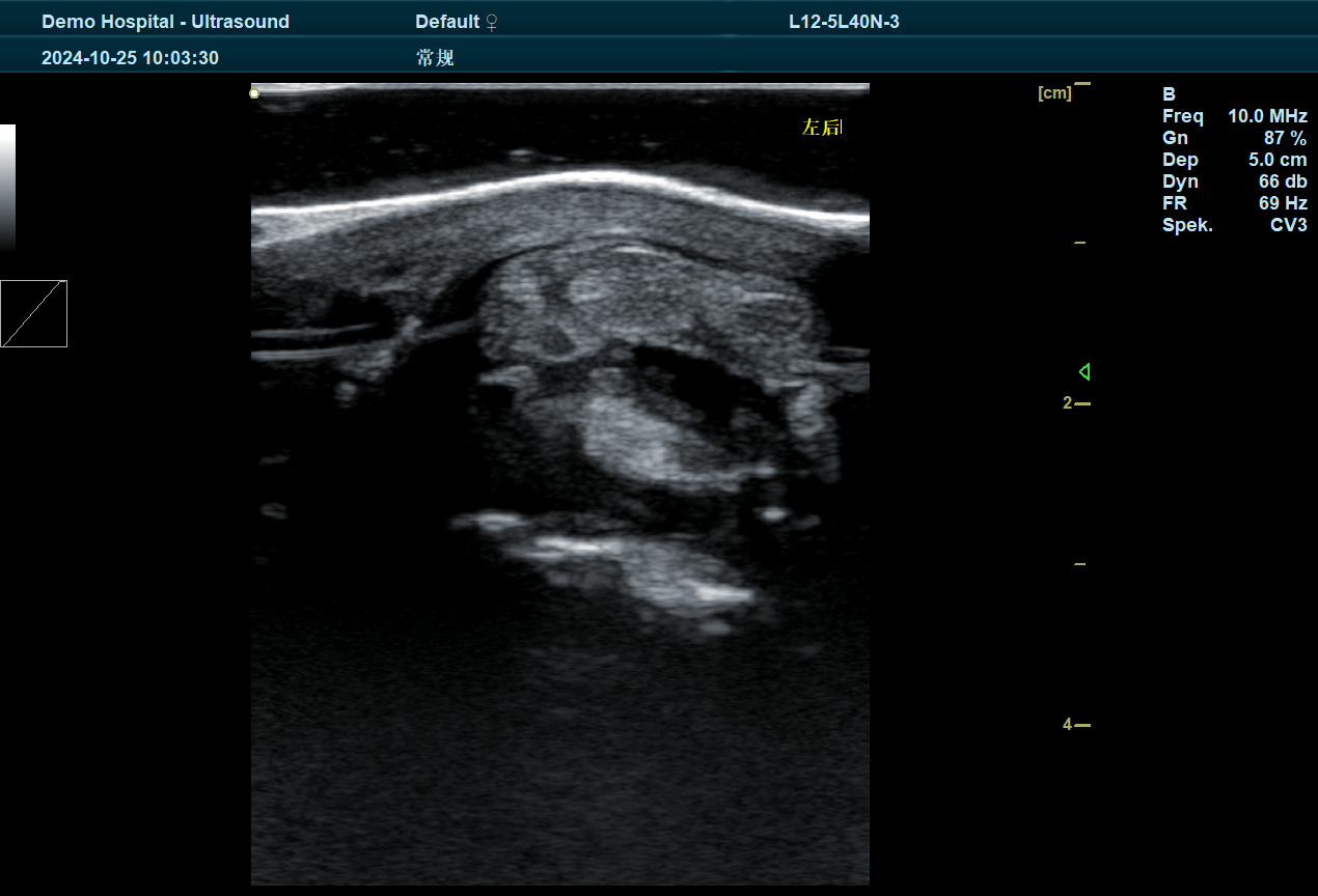 Ultrasound for Camel Musculoskeletal Injuries: A Comprehensive Guide to Diagnosis and Treatment(图1)