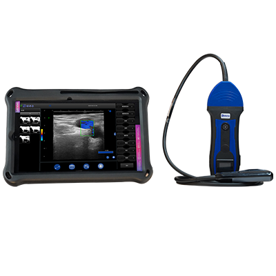 Boxianglai Niu Ultrasonic Price(图1)