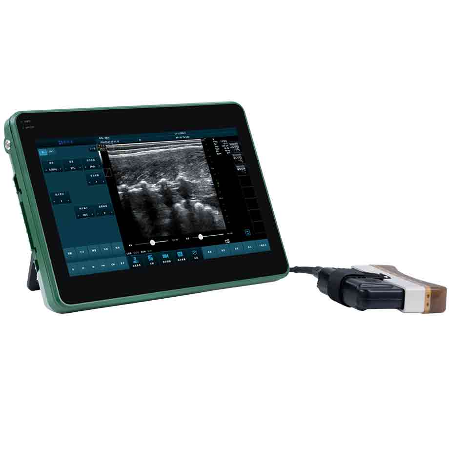 What is the price of BXL veterinary ultrasound portable(图1)