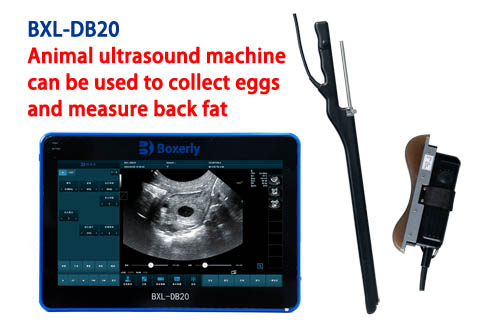 How Swine Ultrasound Machines and Smart Farming Systems Work Together to Boost Efficiency(图2)