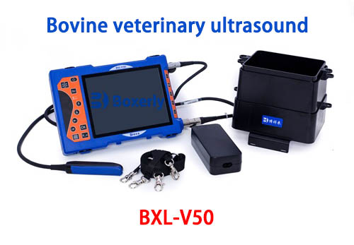 How does veterinary ultrasound work(图2)