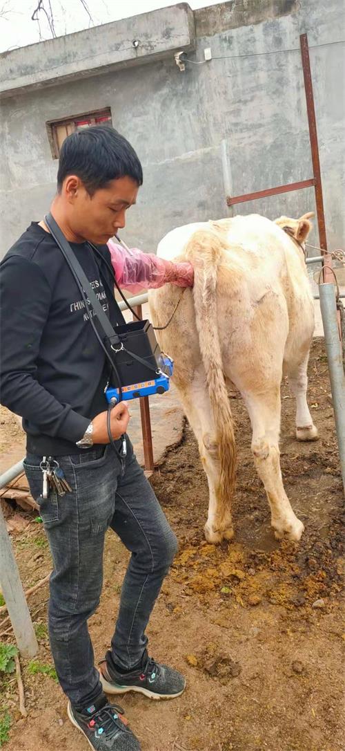 Pingdingshan farmers BXL-v50 type veterinary ultrasonic detector used in the field(图2)