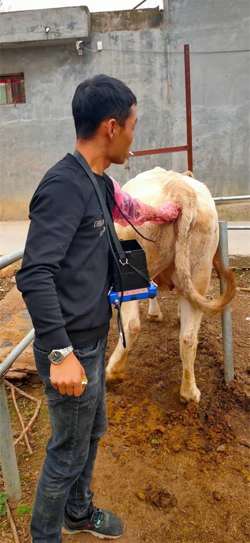 Pingdingshan farmers BXL-v50 type veterinary ultrasonic detector used in the field(图3)