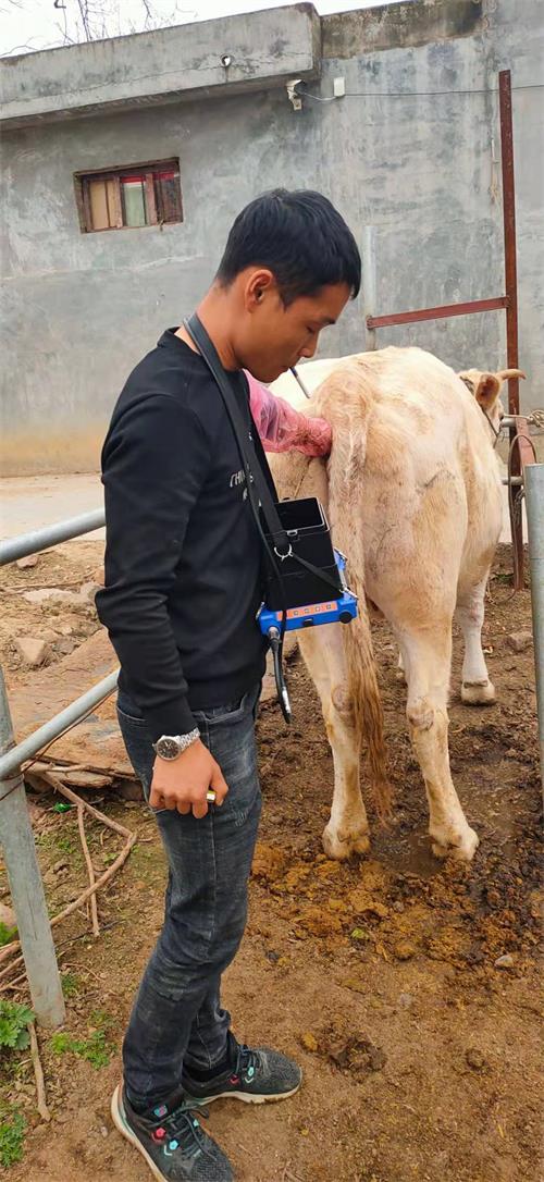 Pingdingshan farmers BXL-v50 type veterinary ultrasonic detector used in the field(图4)