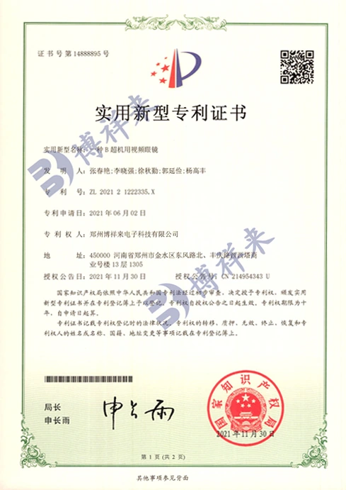 Video glasses and head wear utility model patent(图1)