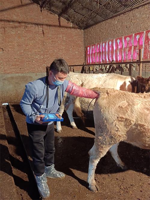 How to Become a Veterinary Ultrasound Technician(图2)