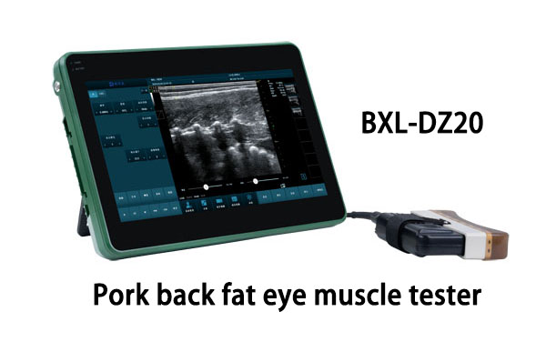 What is Back Fat Thickness in Ultrasound?(图4)