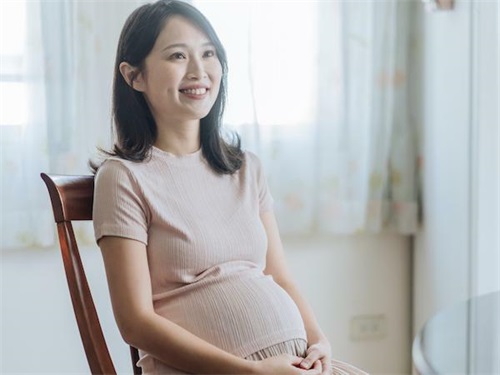 Can You Use a Vet Ultrasound Machine on Humans(图1)
