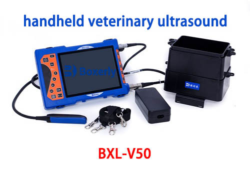 Can You Use a Vet Ultrasound Machine on Humans(图2)