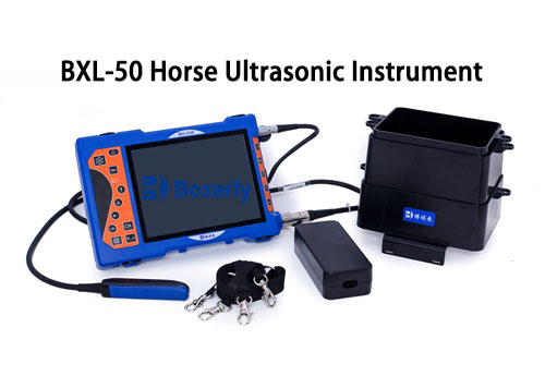 how to ultrasound a pregnant horse(图4)