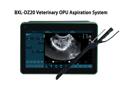 Advances in Ovum Pick Up Techniques for Cattle Reproduction(图3)