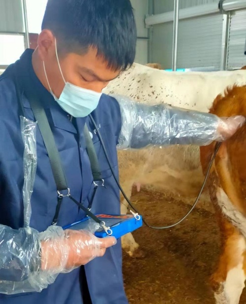Anhui cattle farm BXL-v50 veterinary ultrasound instrument detection(图4)