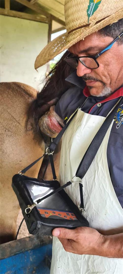 Indian Client and the BXL-V50 Veterinary Ultrasound for Cattle(图3)