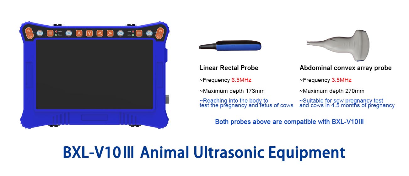 BXL Cheap Vet Ultrasound Machine | Low-Cost Choice for Animal Husbandry(图1)