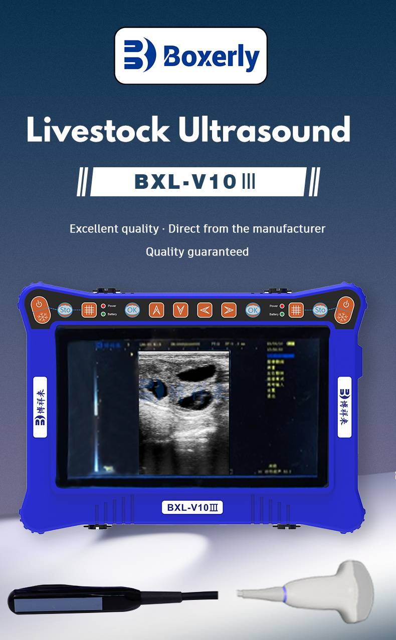 BXL-V10Ⅲ Basic USG Device for Livestock & General Veterinary Use | High Cost Performance(图1)