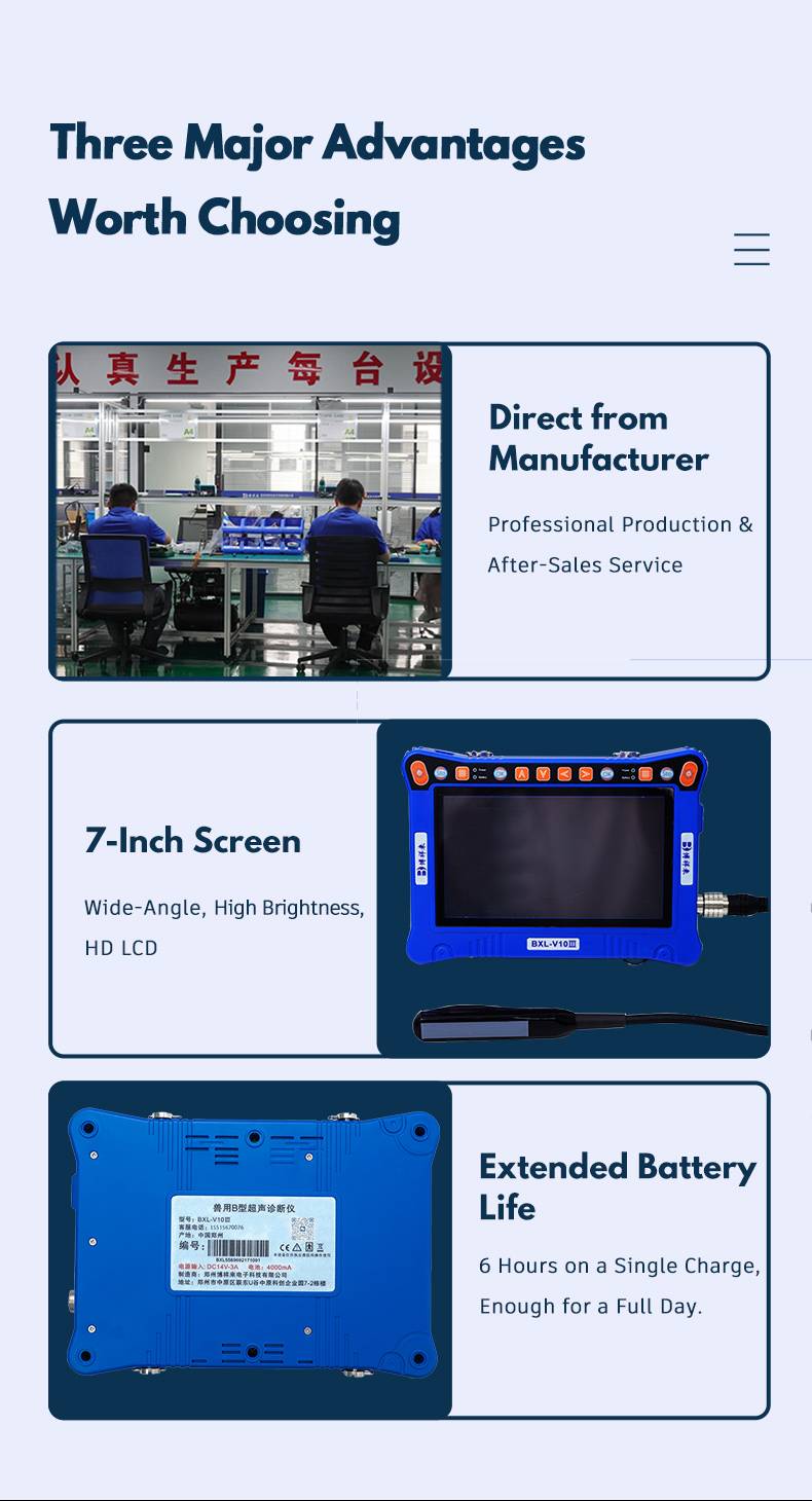 BXL-V10Ⅲ Basic USG Device for Livestock & General Veterinary Use | High Cost Performance(图4)