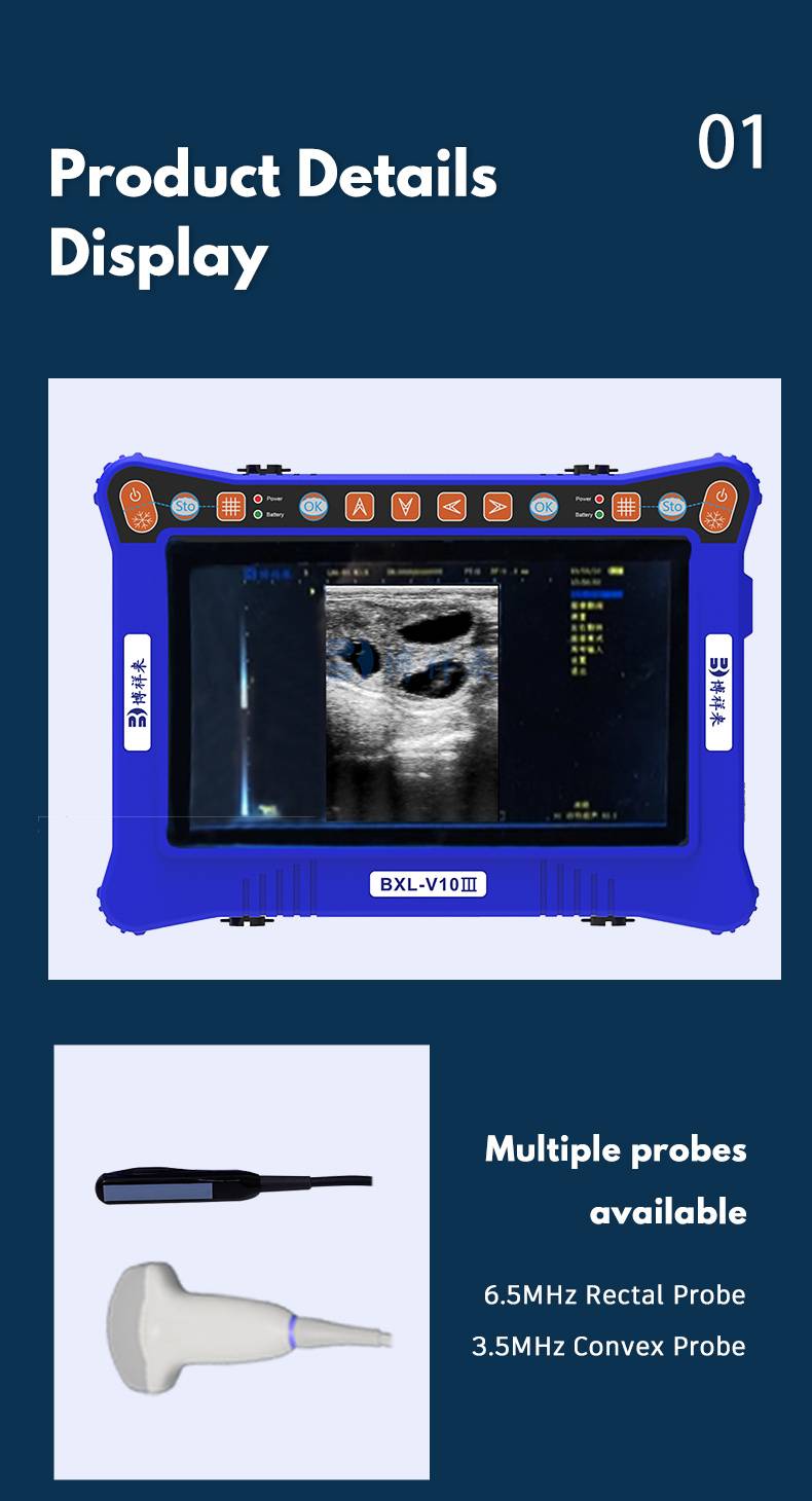 BXL-V10Ⅲ Basic USG Device for Livestock & General Veterinary Use | High Cost Performance(图5)