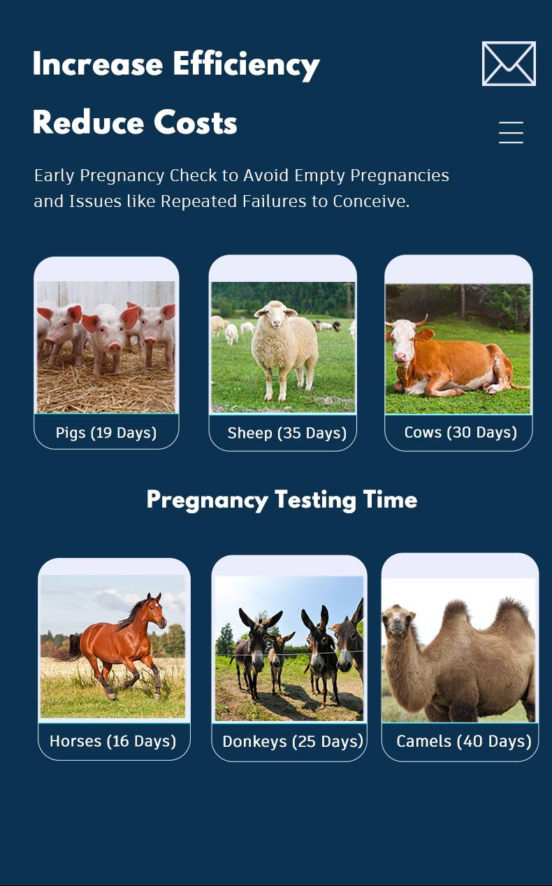 BXL-V10Ⅲ Basic USG Device for Livestock & General Veterinary Use | High Cost Performance(图3)