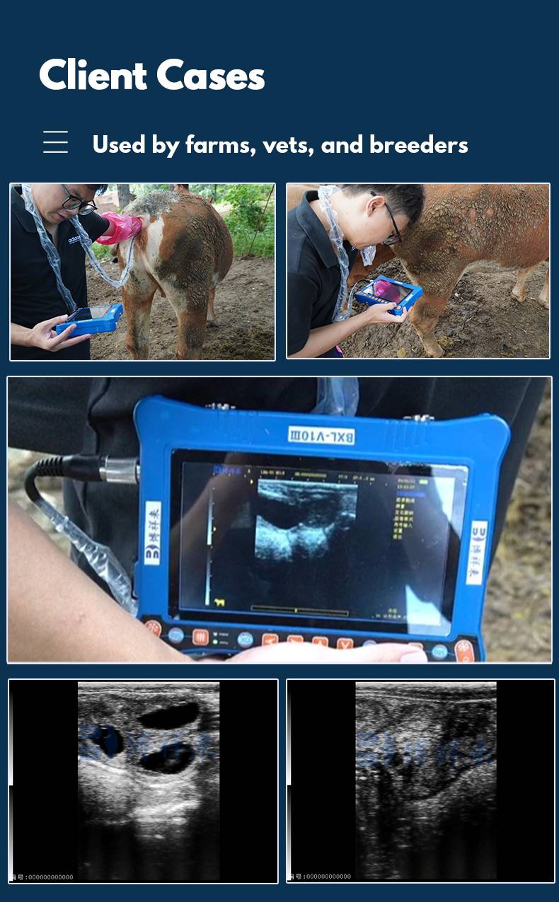 BXL-V10Ⅲ Basic USG Device for Livestock & General Veterinary Use | High Cost Performance(图8)