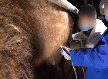 The Benefits of Using Ultrasound Technology in Veterinary Medicine(图1)
