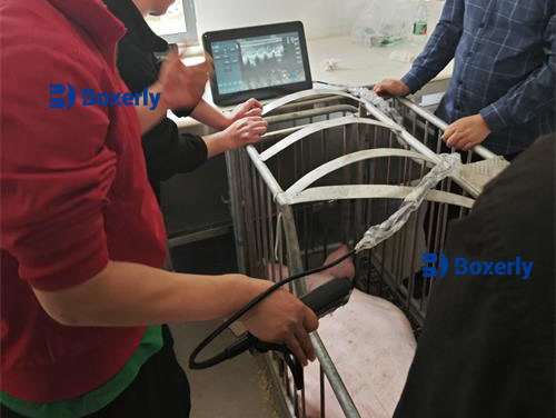 The Future of Veterinary Ultrasound Emerging Trends and Innovations(图1)
