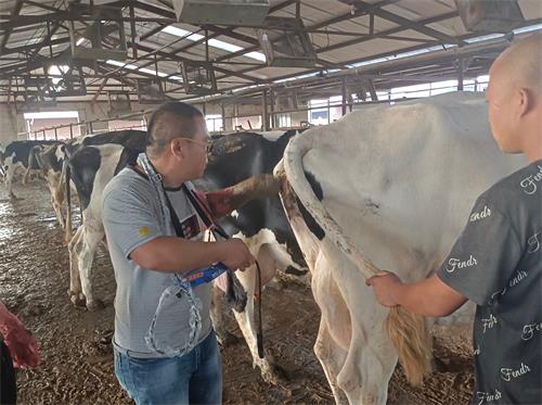 Improving Beef Reproduction with Better Ultrasound Protocols(图2)