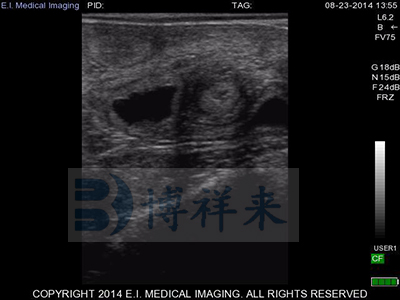 What are the diagnostic methods used in pregnancy diagnosis used in the veterinary profession?(图2)