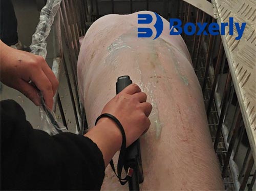 Backfat Thickness and Reproductive Efficiency in Sows: A Two-Year Study(图1)