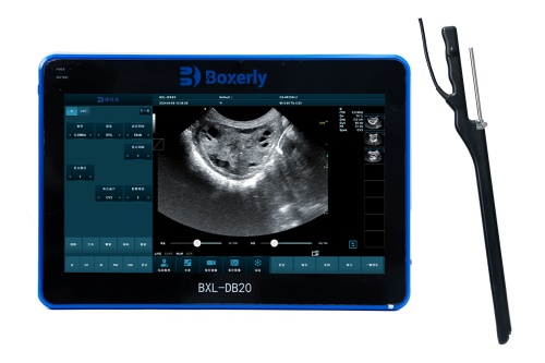 Animal Ultrasound Scanner‑Guided Follicular Aspiration for In Vitro Embryo Production in Goats(图3)