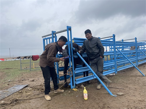 Farms Catching Early Horse Pregnancy Loss by Ultrasound Imaging(图1)
