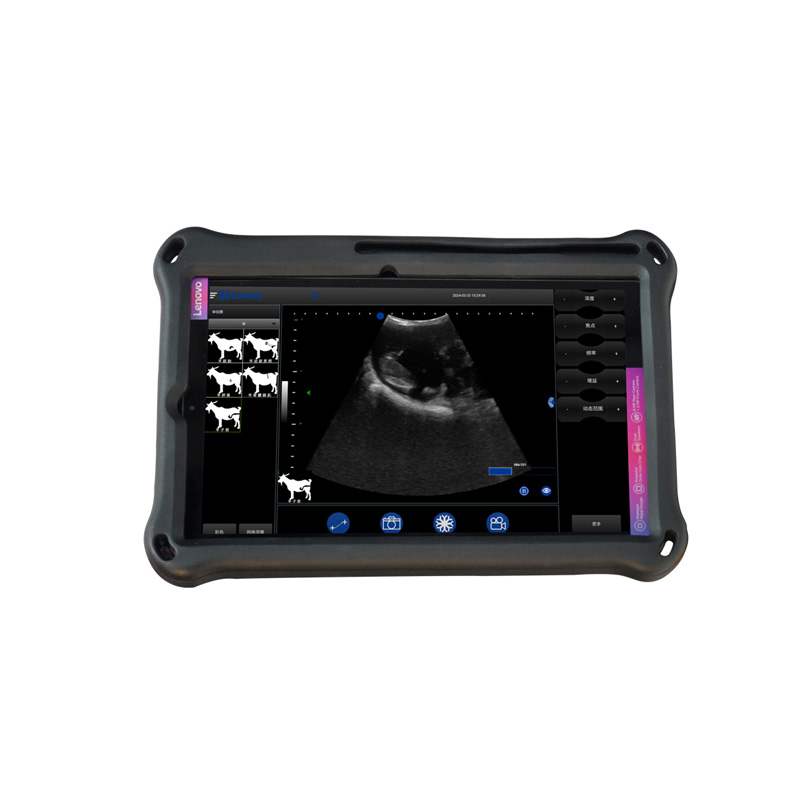 BXL-S204 II Wireless Multifunctional Veterinary Doppler Ultrasound (Universal Model)