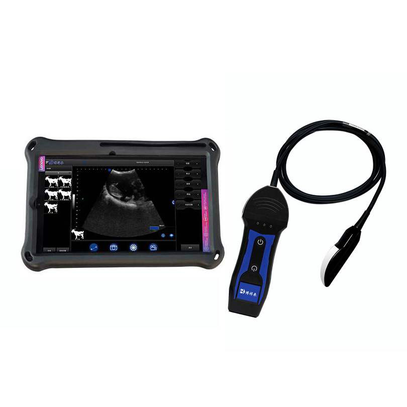 BXL-S204 II Wireless Multifunctional Veterinary Doppler Ultrasound (Universal Model)