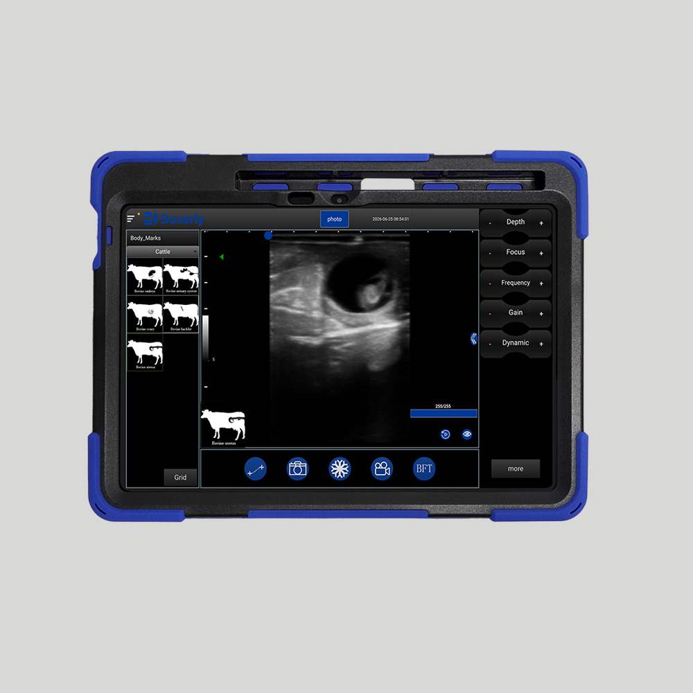 BXL-S200 II Wireless Color Ultrasound for Cows, Horses & Donkeys | Rectal Probe | HD