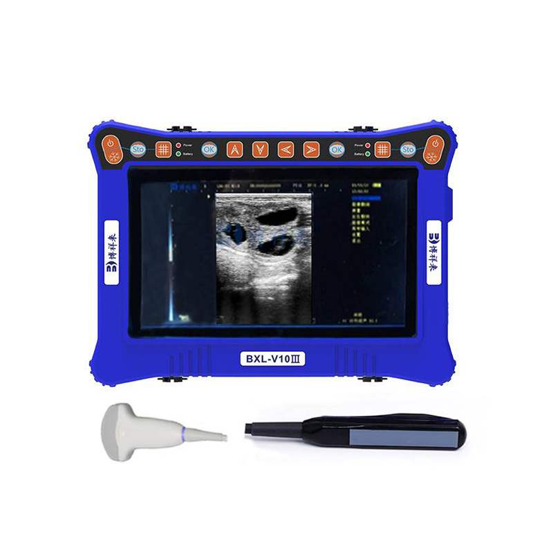 BXL-V10Ⅲ Basic USG Device for Livestock & General Veterinary Use | High Cost Performance