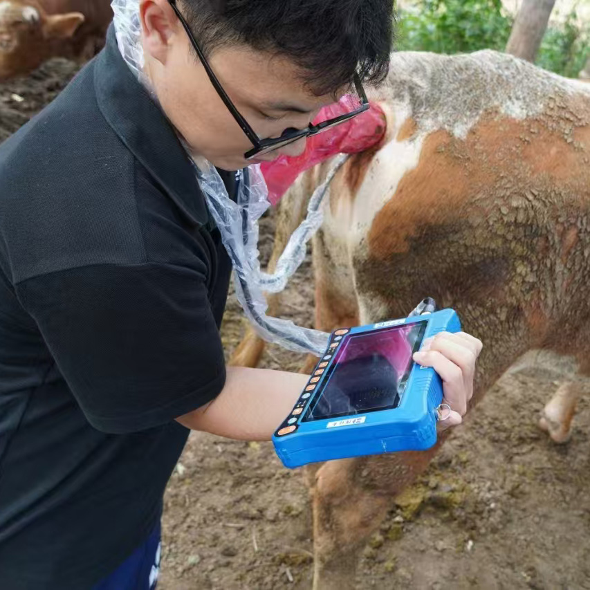 BXL-V10Ⅲ Basic USG Device for Livestock & General Veterinary Use | High Cost Performance