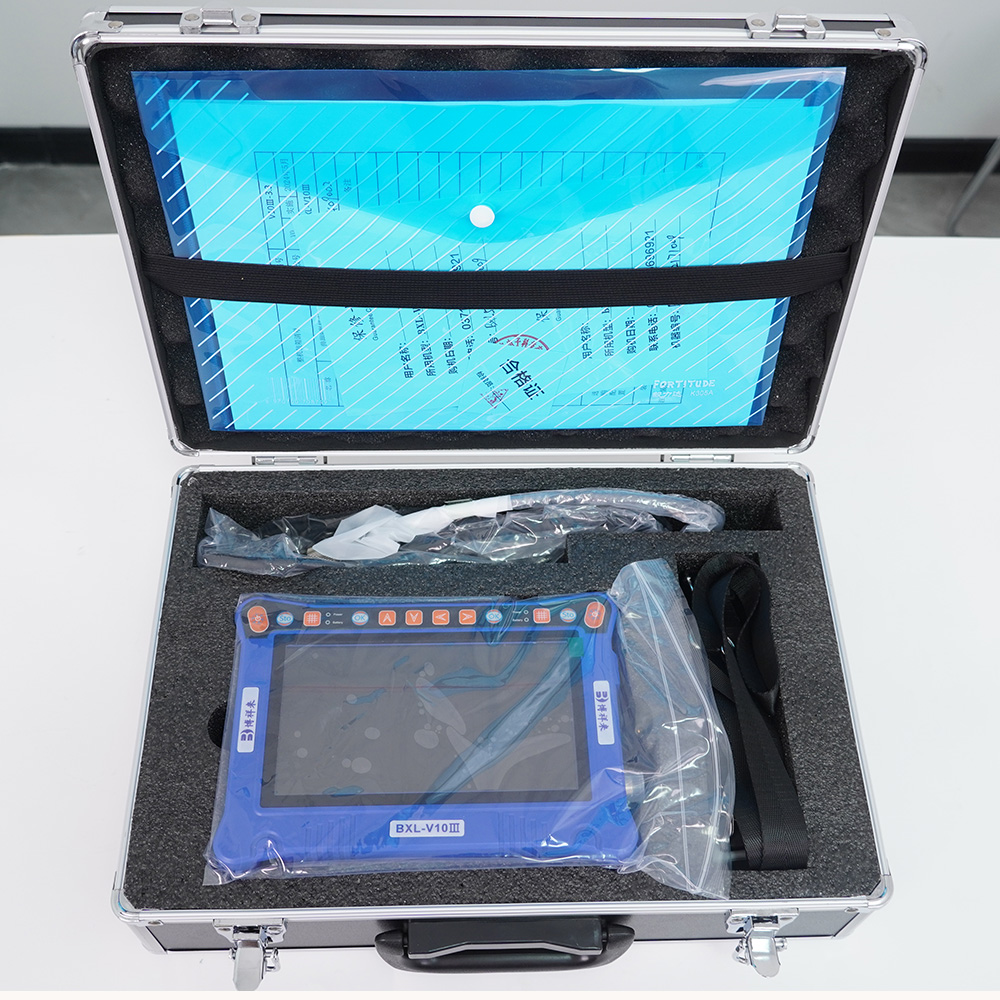 BXL-V10Ⅲ Basic USG Device for Livestock & General Veterinary Use | High Cost Performance