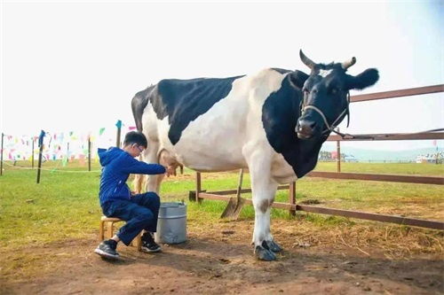 Portable Ultrasound: A Game Changer for Field Vets(图2)